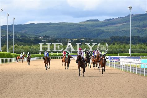 dundalk races live.